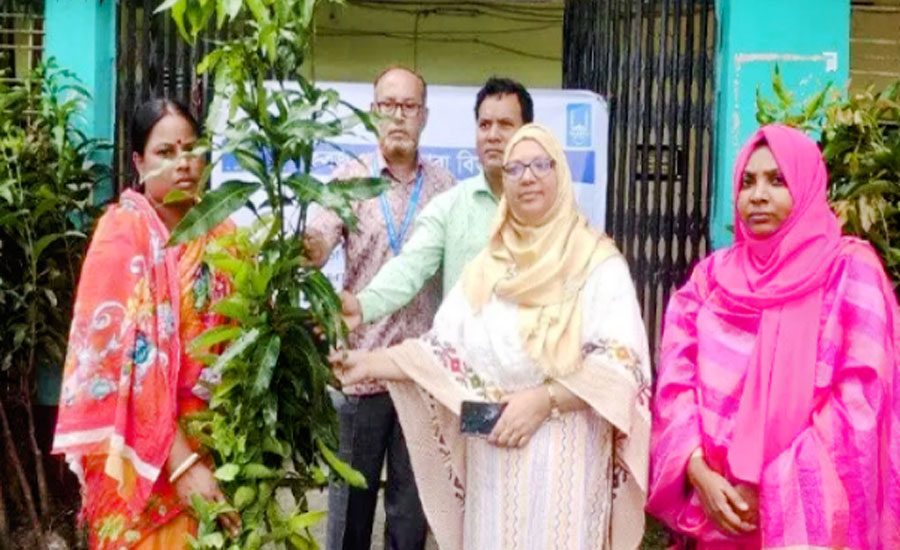 কুড়িগ্রামে ইসলামিক রিলিফ বাংলাদেশের উদ্যোগে চারাগাছ বিতরণ