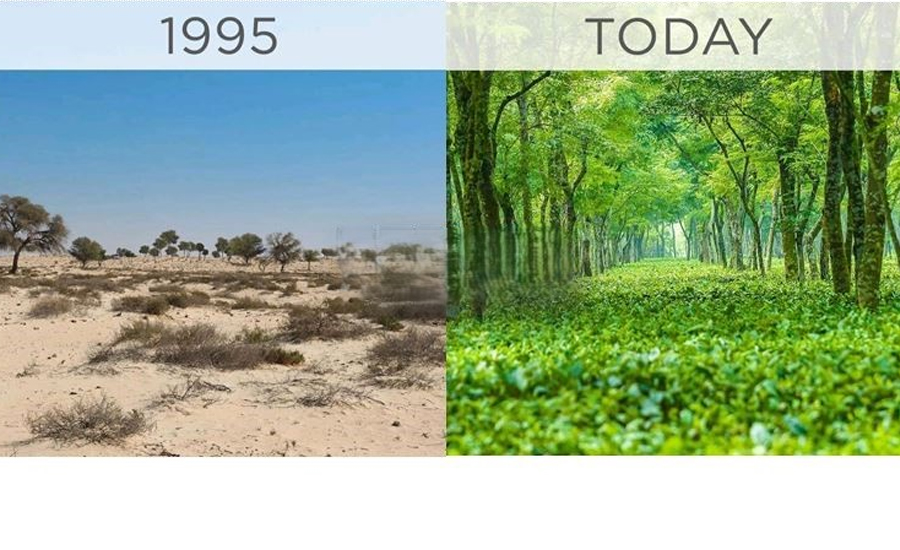 তেঁতুলিয়ার জলবায়ু পরিবর্তন ও পরিবেশ সুরক্ষায় চাই পরিকল্পিত পদক্ষেপ 