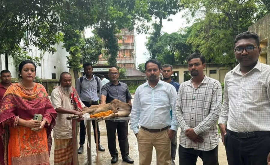 ভ্রাম্যমান আদালতে অপচিকিৎসা করা ভূয়া প্রাণী চিকিৎসককে জরিমানা