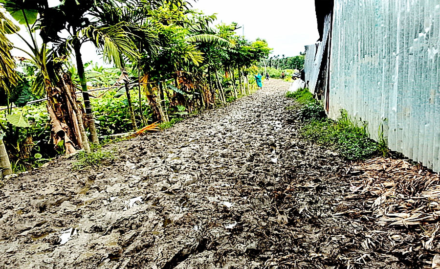 বাগেরহাট কচুয়ার আন্ধার মানিক সড়কের বেহাল দশা বৃষ্টি হলেই হাটুসমান কাদা জনদুর্ভোগ চরমে