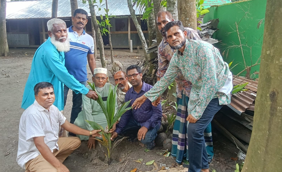 উজিরপুরের কালিহাতা সহ বিভিন্ন শিক্ষা-প্রতিষ্ঠানে কৃষক দলের উদ্যোগে বৃক্ষ রোপন অনুষ্ঠিত