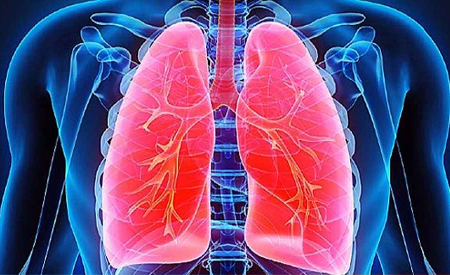 ফুসফুস পরিষ্কার রাখার ১১ উপায়