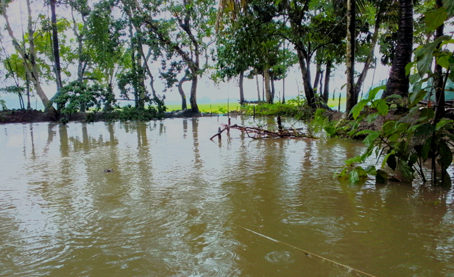 টানা বৃষ্টির পানিতে ডুবে যাচ্ছে ঘের পুকুর রাস্তা ঘাট, ভেসে যাচ্ছে মাছ পোনা জনজীবন অতিষ্ঠ।