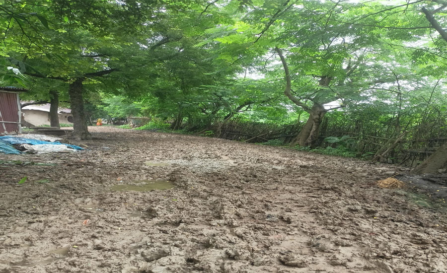 গোমস্তাপুরে চার দশক ধরে জরাজীর্ণ এক কিলোমিটার সড়ক,এলাকাবাসীর চরম দুর্ভোগ