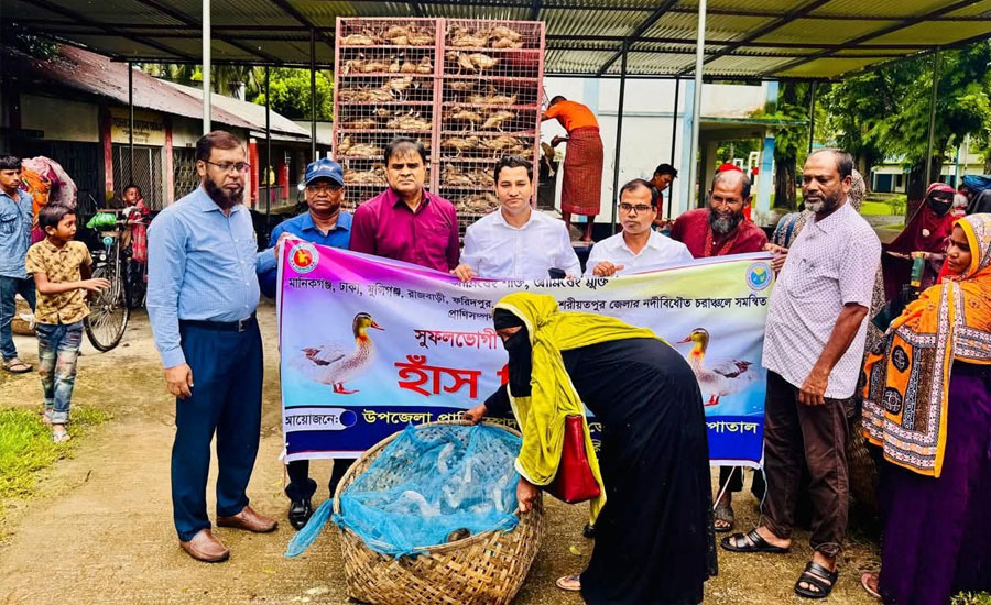 আলফাডাঙ্গায় চরাঞ্চলের ১০০ অসহায় সুফলভোগীর মাঝে খাকি ক্যাম্পবেল হাঁস বিতরণ