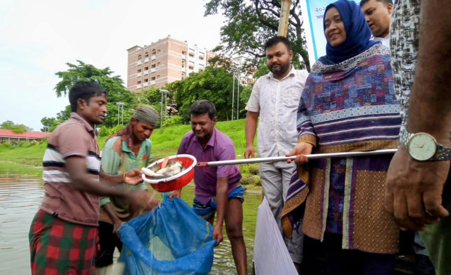 কুড়িগ্রামে মাছের পোনা অবমুক্ত ও বিতরণ করেছেন কুড়িগ্রামের জেলা প্রশাসক 
