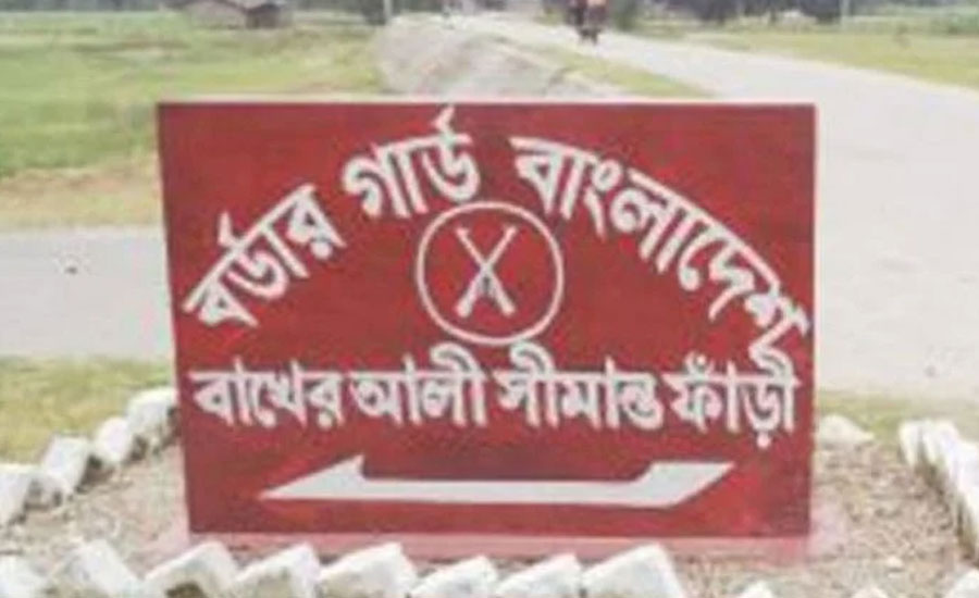 চাঁপাইনবাবগঞ্জ সীমান্তে বিজিবি’র গুলি, ভারতীয় মহিষ জব্দ