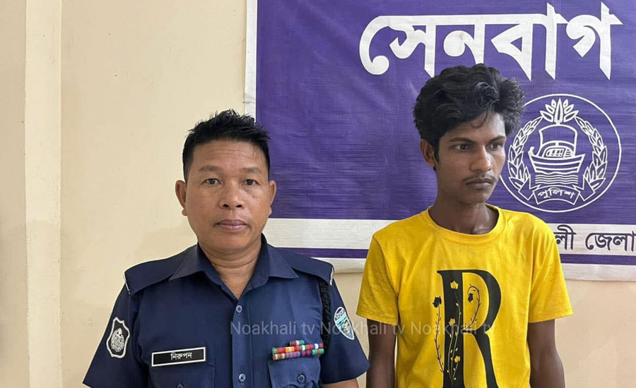 সেনবাগে যৌথ বাহিনীর অভিযানে মাদক ব্যবসায়ী গ্রেফতার
