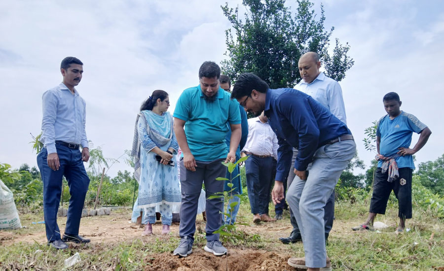 সিলেট সদর উপজেলায় মালনীছড়া ২য় খন্ড মৌজার উদ্ধারকৃত খাস জমিতে জেলা প্রশাসকের  বৃক্ষরোপণ!