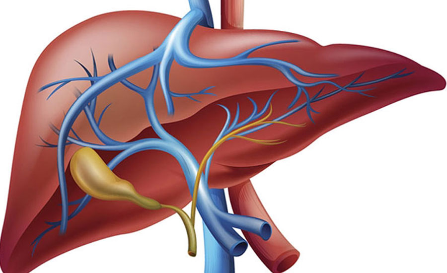 লিভার ভালো রাখতে যা করতে পারেন 