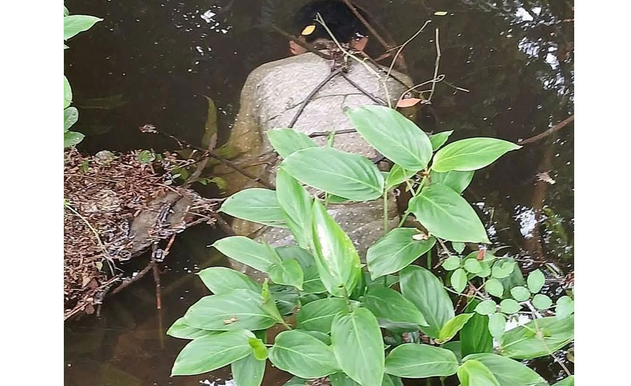 নোয়াখালীতে তাবলিগ জামাতে গিয়ে যুবকের মৃত্যু