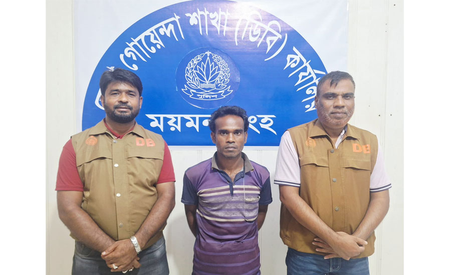 ময়মনসিংহে ১ কেজি গাঁজাসহ ১জনকে গ্রেফতার করেছে ডিবি 