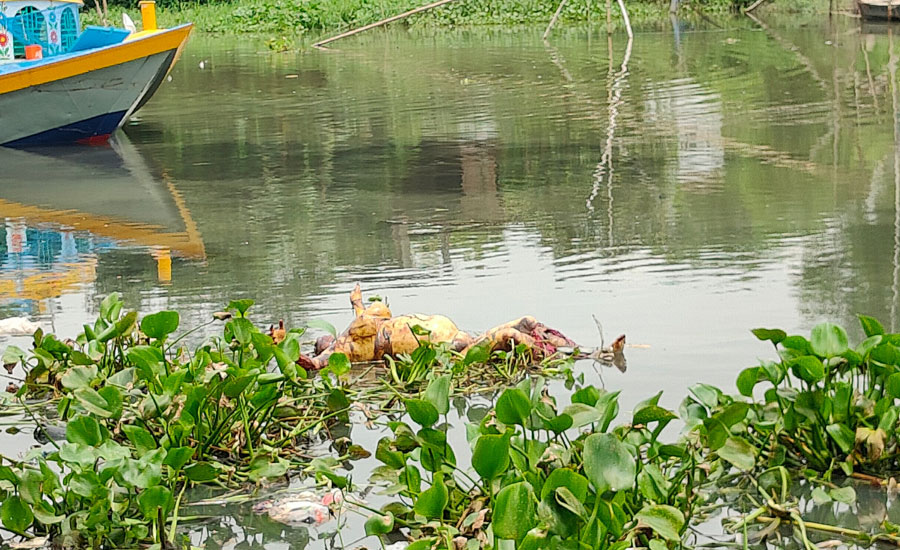 সোনারগাঁয়ে মারীখালি নদী থেকে হাত-পা বাধা নারীর মরদেহ উদ্ধার