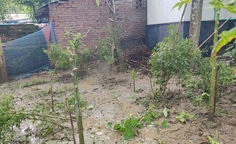 চাঁপাইনবাবগঞ্জে আওয়ামীলীগ নেতার বাড়ীতে পুঁতে রাখা ককটেল বিষ্ফোরণ