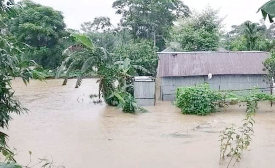 টানা বৃষ্টি ও অস্বাভাবিক জোয়ারের পানিতে ফেনীর ১০ গ্রাম প্লাবিত