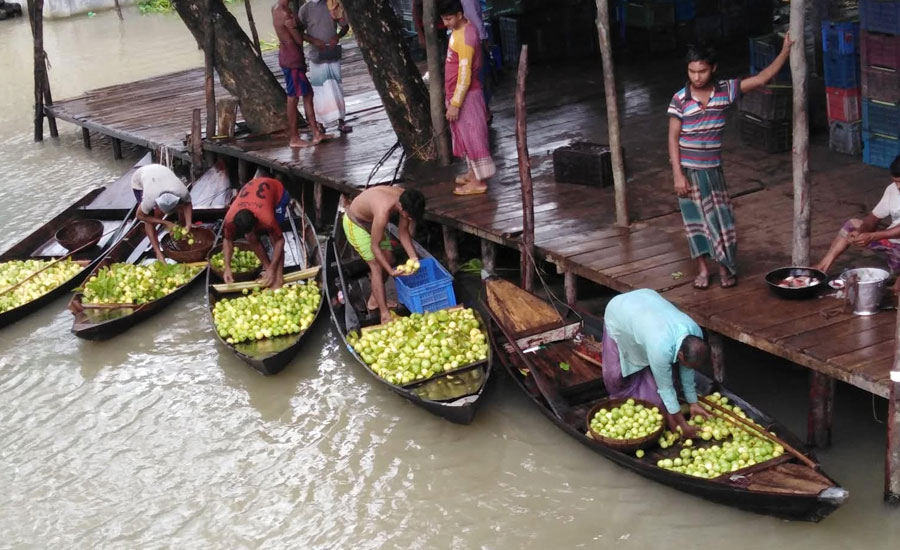 পিরোজপুরের আটঘর-কুড়িয়ানার পেয়ারার বাগানে পরিবেশ রক্ষায় ৬ দফা নির্দেশনা
