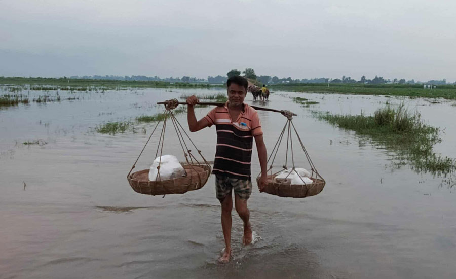 ডুবতে শুরু করেছে চলনবিলের সাবমার্সিবল রাস্তা গুলো