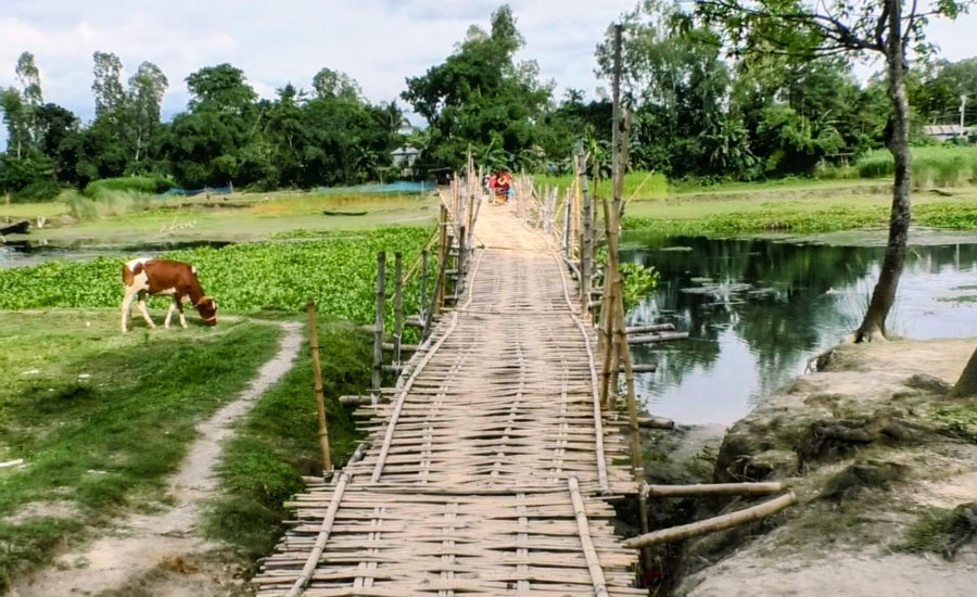 কুড়িগ্রামের রৌমারীর হলহলিয়া নদীতে ১টি সংযোগ সেতুর অভাবে চরম দুর্ভোগে অর্ধলক্ষাধিক মানুষ