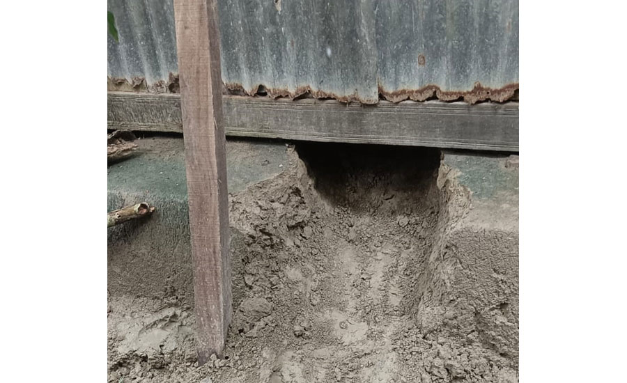 উজিরপুরে ঘরের সিদ কেটে দুর্ধর্ষ ডাকাতি