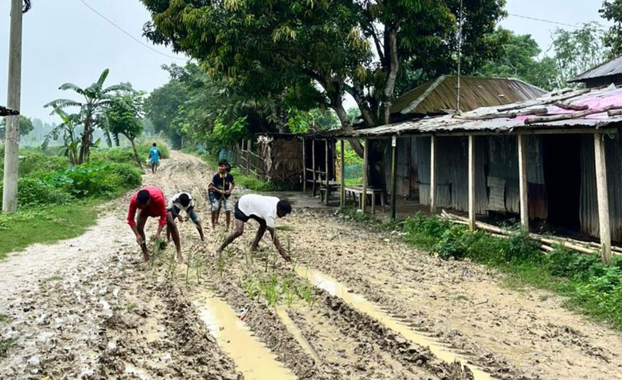 তাড়াশে কাঁচা সড়কে ধানের চারা রোপণ করে প্রতিবাদ 