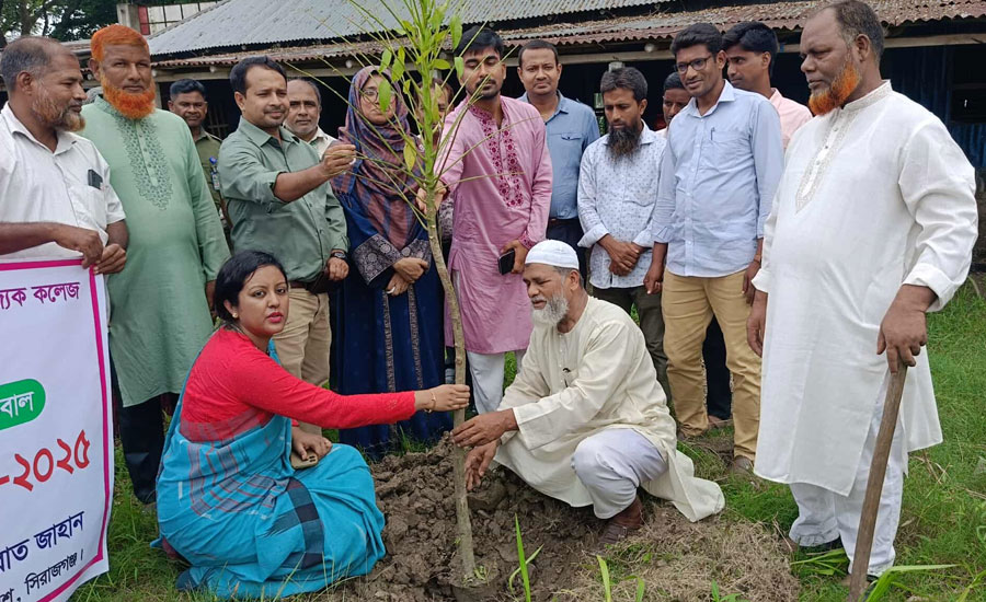 তাড়াশে আজিমনগর মহিলা কলেজে বৃক্ষরোপণ