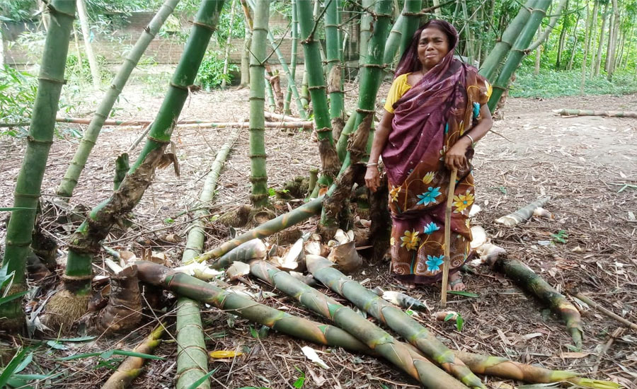 সম্পত্তি বিরোধ ১৪৪ ধারা,সম্পত্তি নিয়ে গোপাল মন্ডল