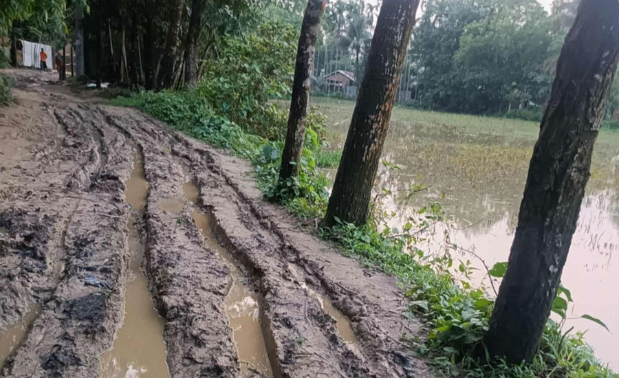 ঝিনাইগাতীতে গ্রামীণ রাস্তার বেহাল অবস্থা, সংস্কারের দাবিতে এলাকাবাসী