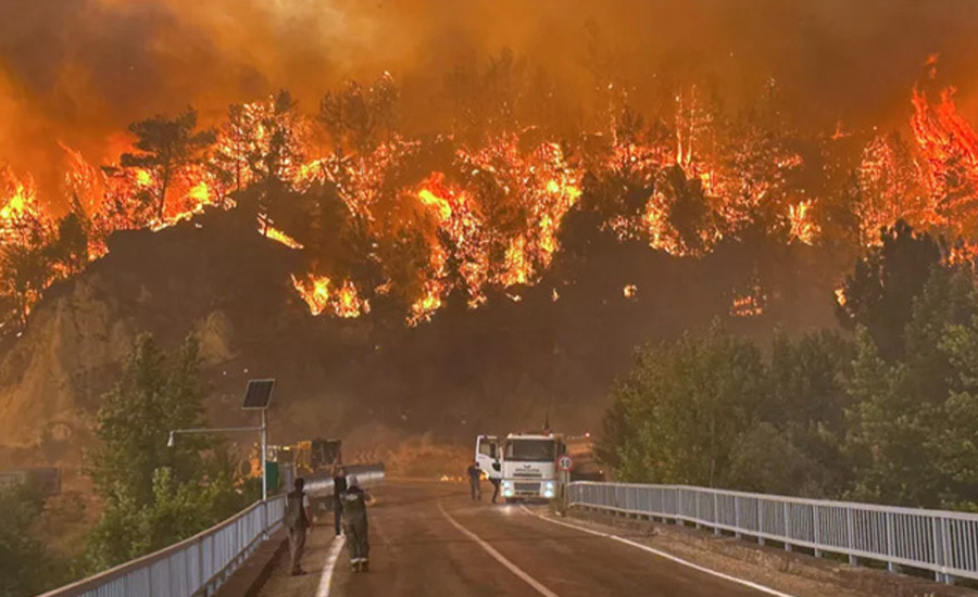 দক্ষিণ ইউরোপে ভয়াবহ তাপপ্রবাহ, দাবানলে পুড়ছে একাধিক দেশ
