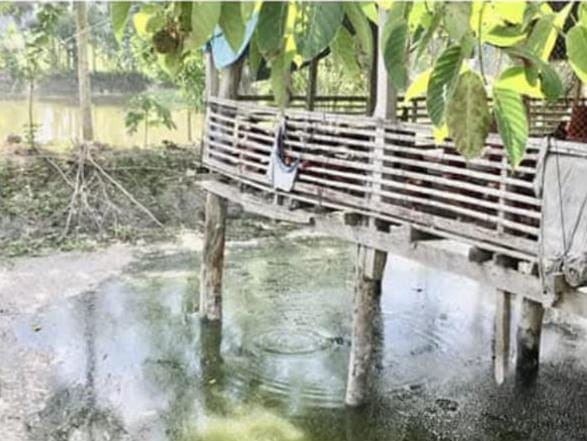 উজিরপুরে ভূমিহীন পরিচয় দিয়ে সরকারি খাল বন্দোবস্ত নিয়েছে ধর্ণাঢ্য পরিবারins class=