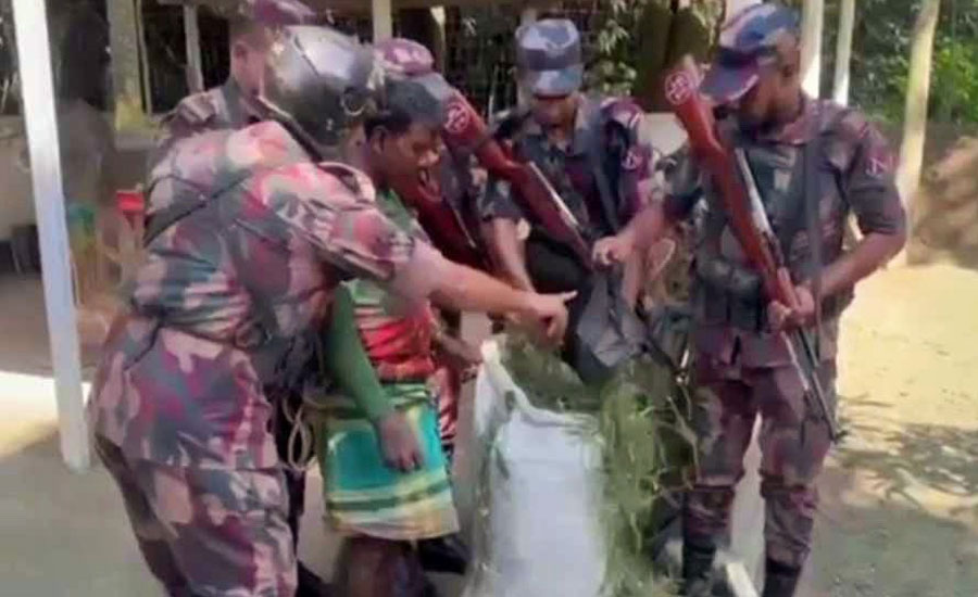 মেহেরপুরে কৃষকের ঘাসের বস্তায় মিলল ৫১ হাজার ডলার
