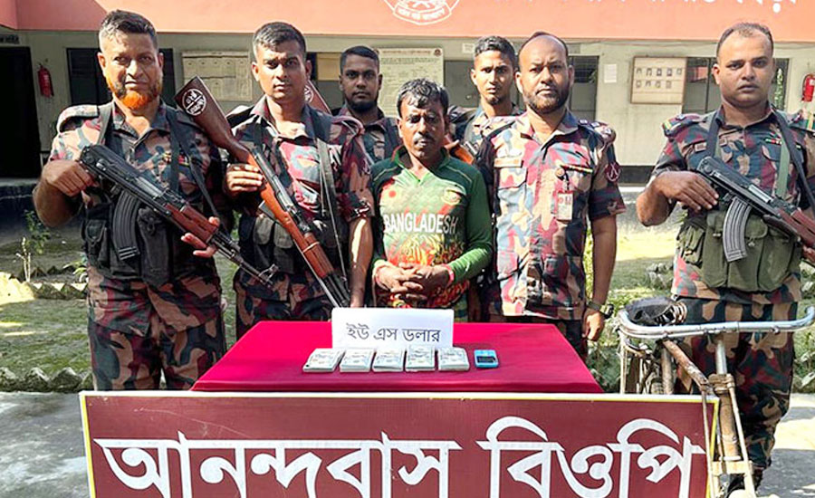 মেহেরপুরে কৃষকের ঘাসের বস্তায় মিলল ৫১ হাজার ডলার