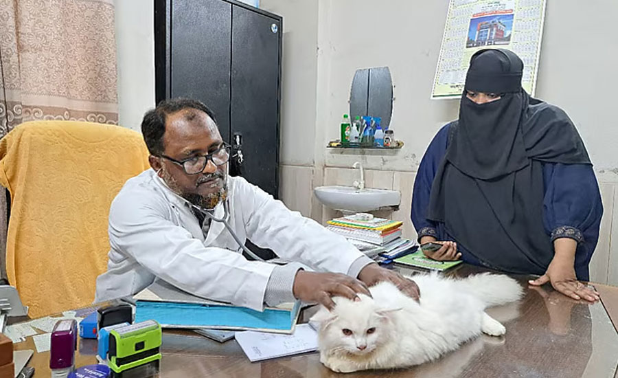 হাসপাতালে দীর্ঘ লাইন, বেশির ভাগ রোগীই বিড়াল