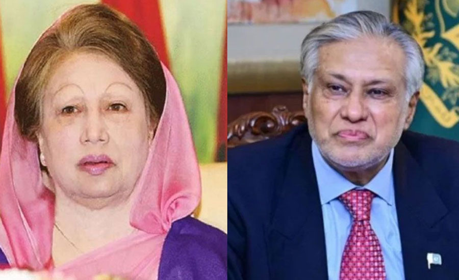 পাকিস্তানের উপ-প্রধানমন্ত্রীর সঙ্গে যা আলোচনা হলো বিএনপি-জামায়াতের