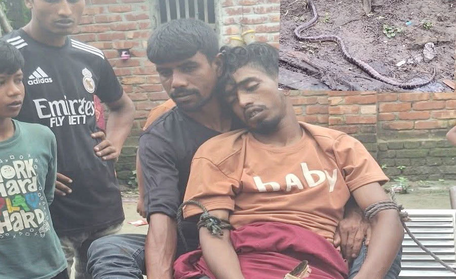আত্রাইয়ে বিষধর সাপে কামড়ে যুবকের করুণ মৃত্যু