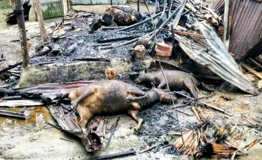 গোয়ালঘরে আগুন লেগে এক কৃষকের গবাদিপশু পুড়ে ছাই