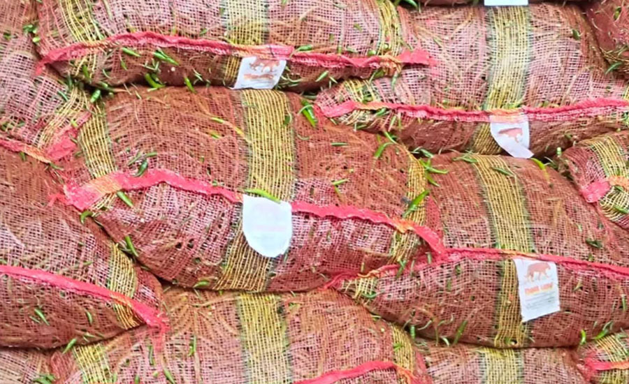 চাঁপাইনবাবগঞ্জের সোনামসজিদ বন্দর দিয়ে আট টন মরিচ আমদানী