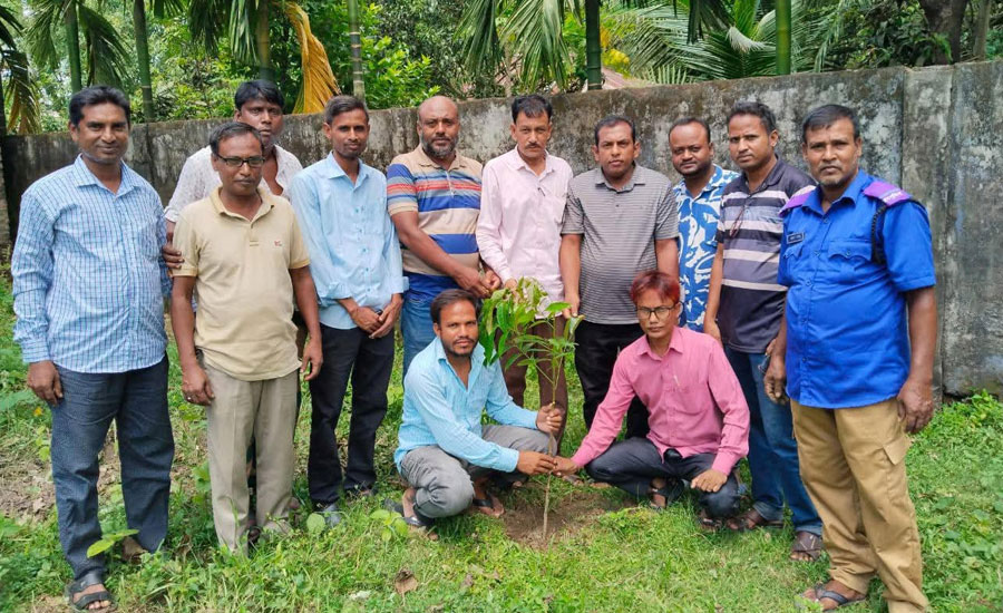 প্রেস ক্লাব শিবগঞ্জ উপজেলা শাখার উদ্যোগে বৃক্ষরোপণ 