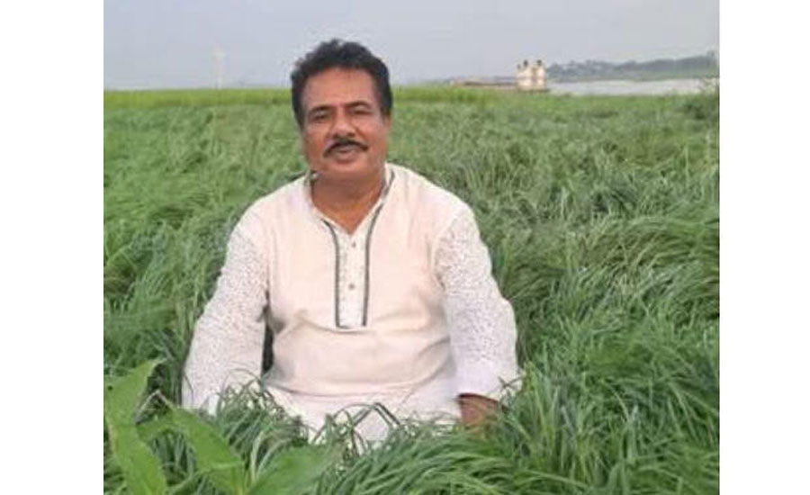নাসিরনগরে আওয়ামী লীগের সাবেক সভাপতি  ইউপি চেয়ারম্যান গ্রেফতার 