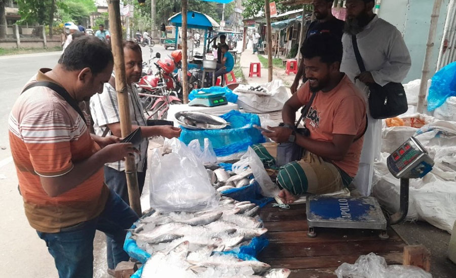 চুয়াডাঙ্গায় ইলিশের বাজার চড়া, দামে অস্বস্তি