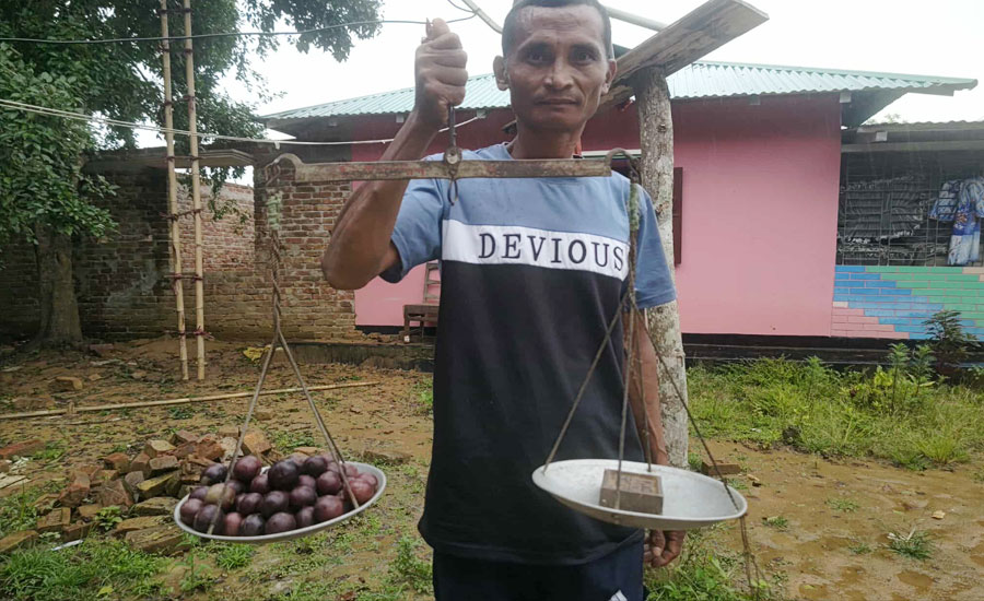 রুমায় পাইন্ন্যাগুলা চাষে সফল হোমপি খিয়াং