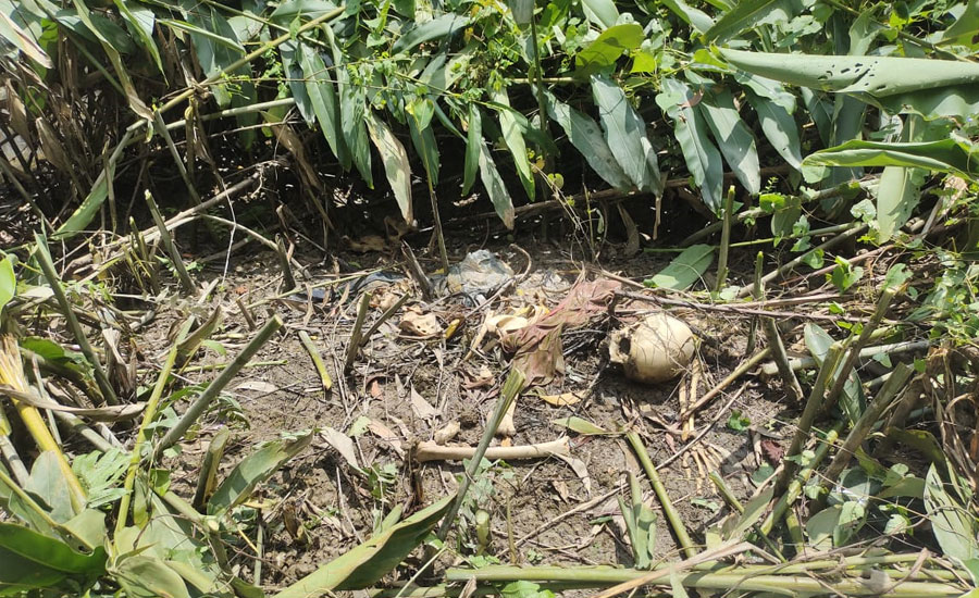 মুরাদনগরে নিখোঁজের ২০ দিন পর যুবকের কঙ্কাল উদ্ধার