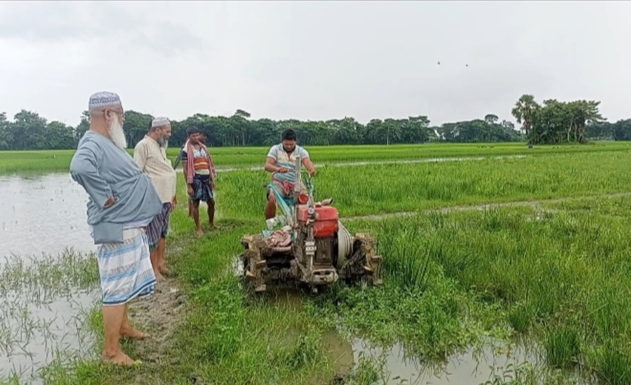 সংবাদ প্রকাশশের জেরে পটুয়াখালীতে অবশেষে জমি আবাদ শুরু 