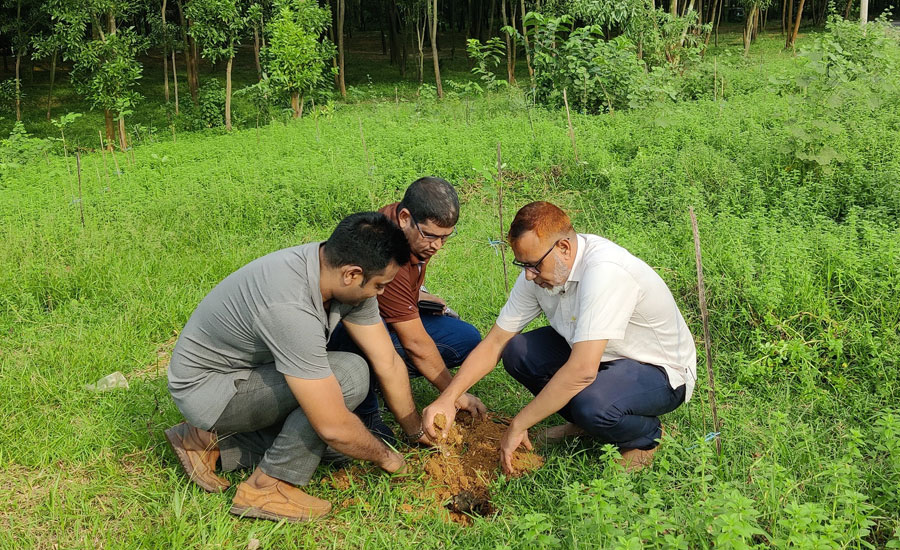 গাজীপুরে তালবীজ রোপণ কর্মসূচি