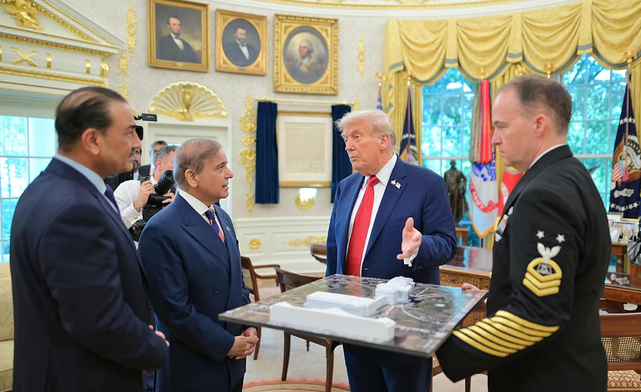 যেভাবে গুরুত্বপূর্ণ খনিজ দিয়ে ট্রাম্পকে কাছে টানছে পাকিস্তান