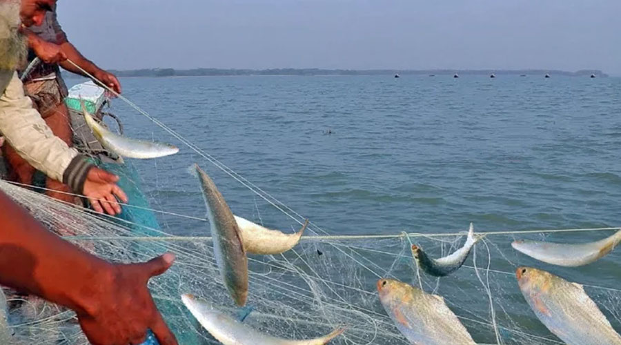 মধ্যরাত থেকে বন্ধ হচ্ছে ইলিশ ধরা