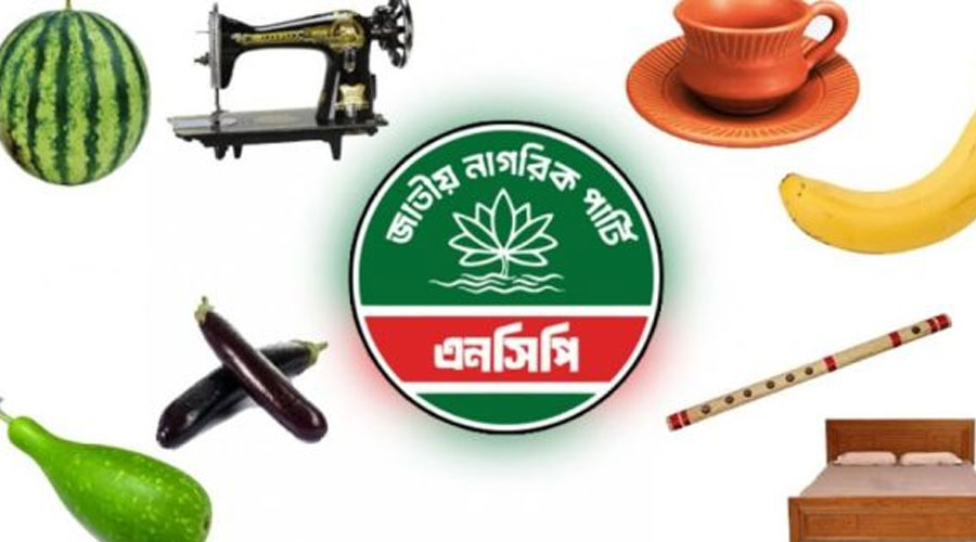 কলা, বেগুন, উটপাখিসহ ৫০টির তালিকা থেকে প্রতীক নিতে এনসিপিকে, নেই শাপলা