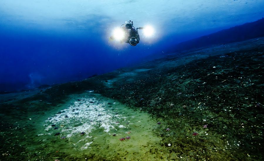 অ্যান্টার্কটিকায় সমুদ্রের তলদেশে ফাটল, বের হচ্ছে বিপজ্জনক মিথেন গ্যাস