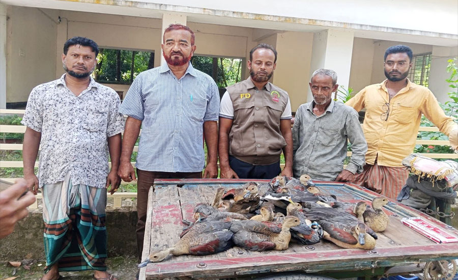 উজিরপুরের হারতায় অতিথি পাখিসহ অসাধু ব্যবসায়ী আটক, পাখি গুলো অবমুক্তি