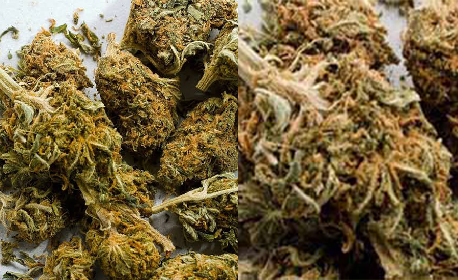 ভূরুঙ্গামারীতে গাঁজা আটক, ৭৫ হাজারে দফারফা