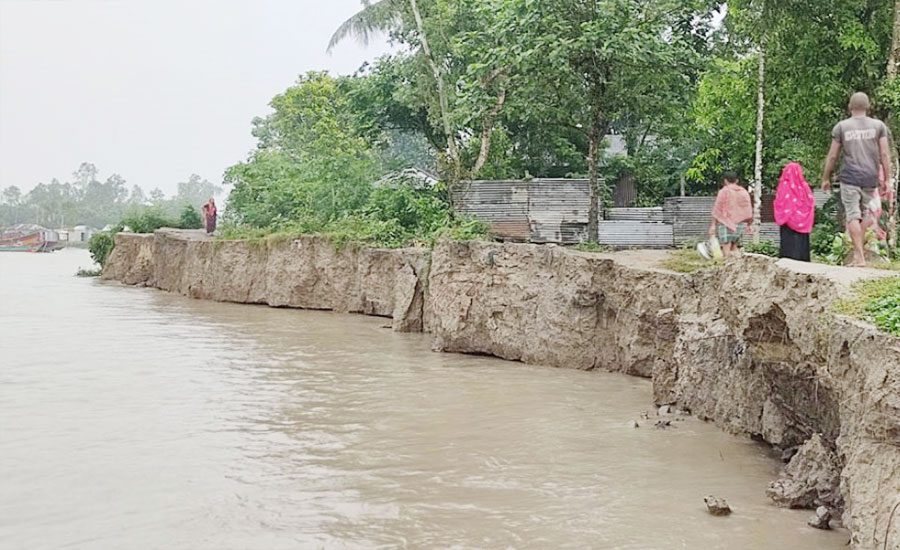 যমুনার তিন কিলোমিটারে তীব্র ভাঙন, বিলীন চার শতাধিক ঘরবাড়ি